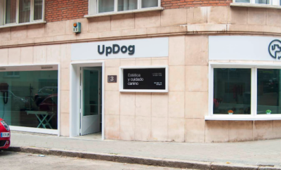 UPDOG Chamartín | Guardería para perros y Residencia canina